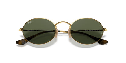 Lunettes de soleil RayBan 0RB3547N Oval