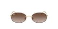 Lunettes de soleil Ray Ban RB 3767