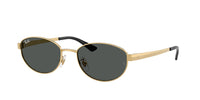 Ray Ban RB 3774D Sunglasses