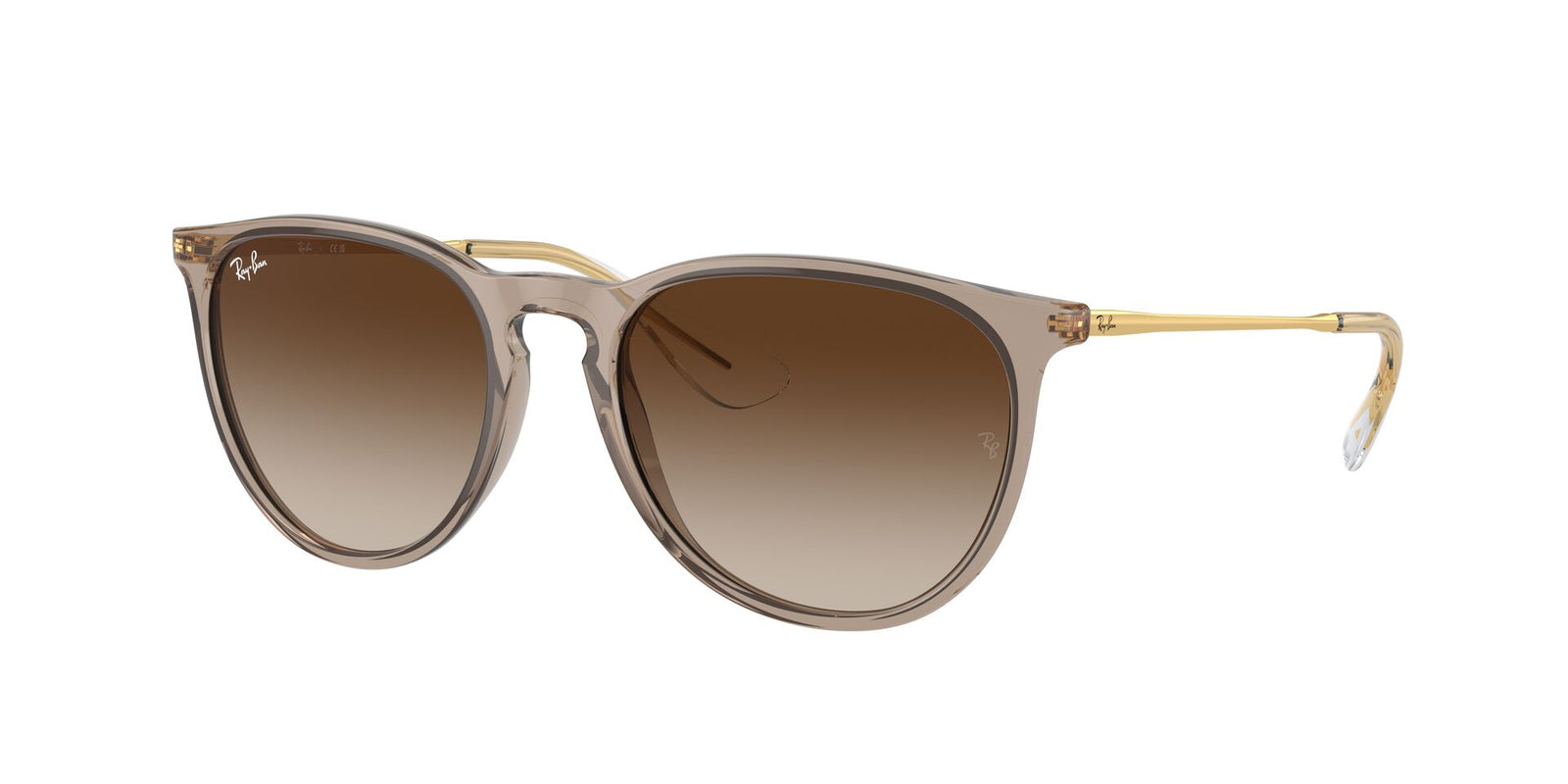 Ray Ban Erika RB 4171 Sunglasses