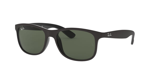 Ray Ban Andy RB 4202 Sunglasses