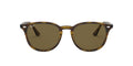 Ray Ban RB 4259 Sunglasses