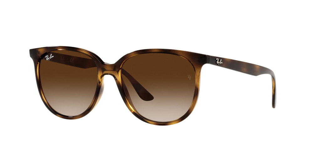 Occhiali da sole Ray Ban RB 4378