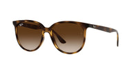 Ray Ban RB 4378 Sunglasses
