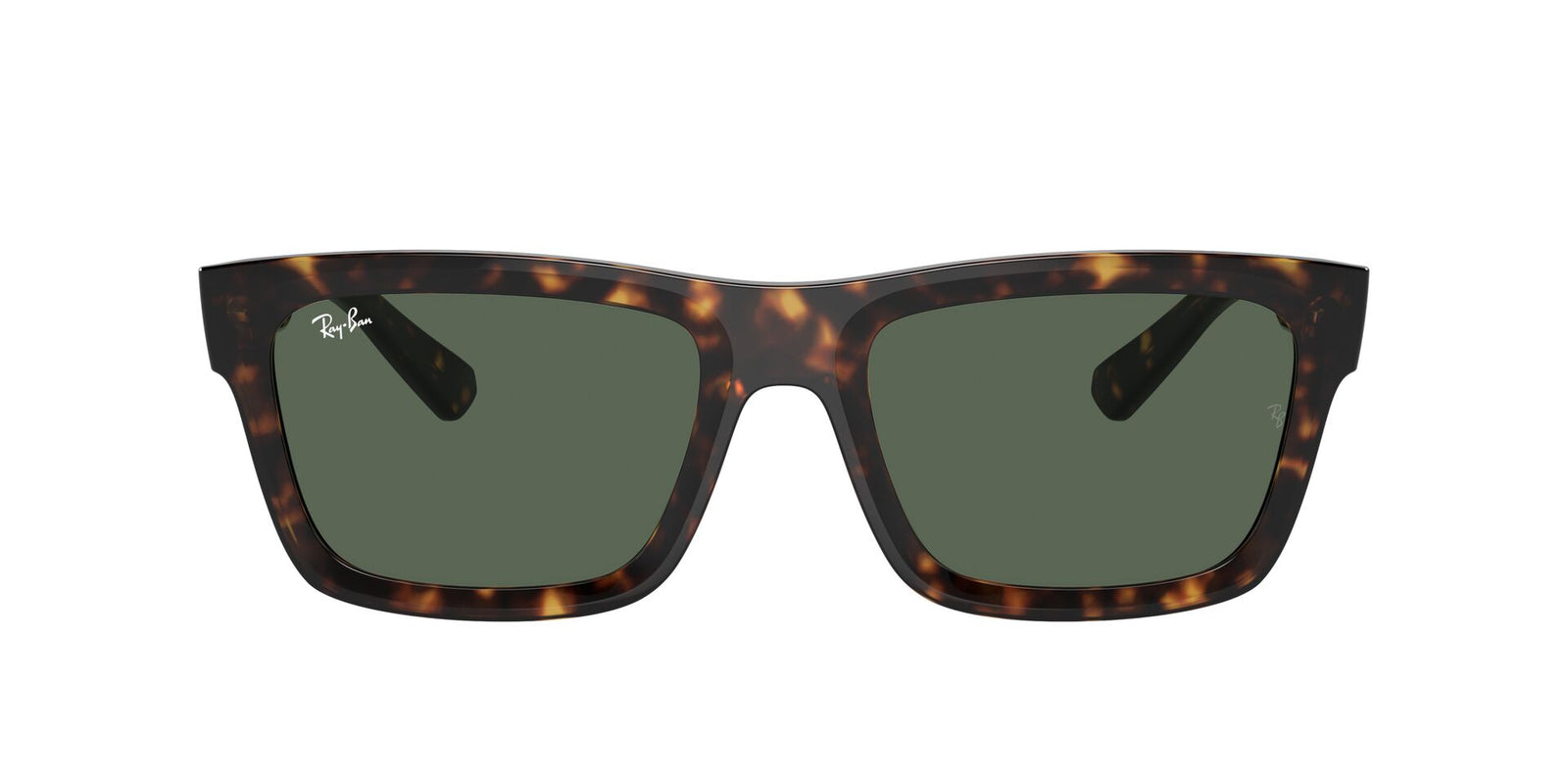 Ray-Ban Warren RB 4396 Sunglasses
