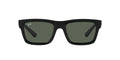 Occhiali da sole Ray Ban Warren RB 4396