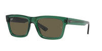 Ray-Ban Warren RB 4396 Sunglasses