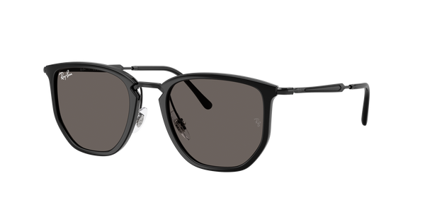 Lunettes de soleil Ray Ban RB 4451