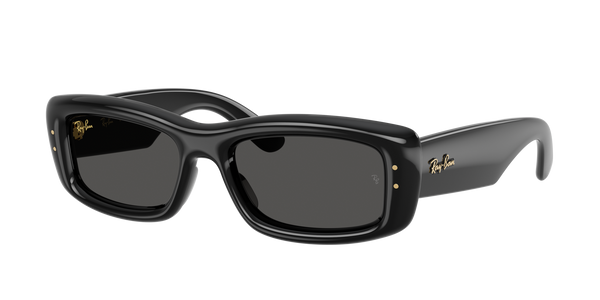 Occhiali da sole Ray Ban Wayfarer Puffer RB 4940