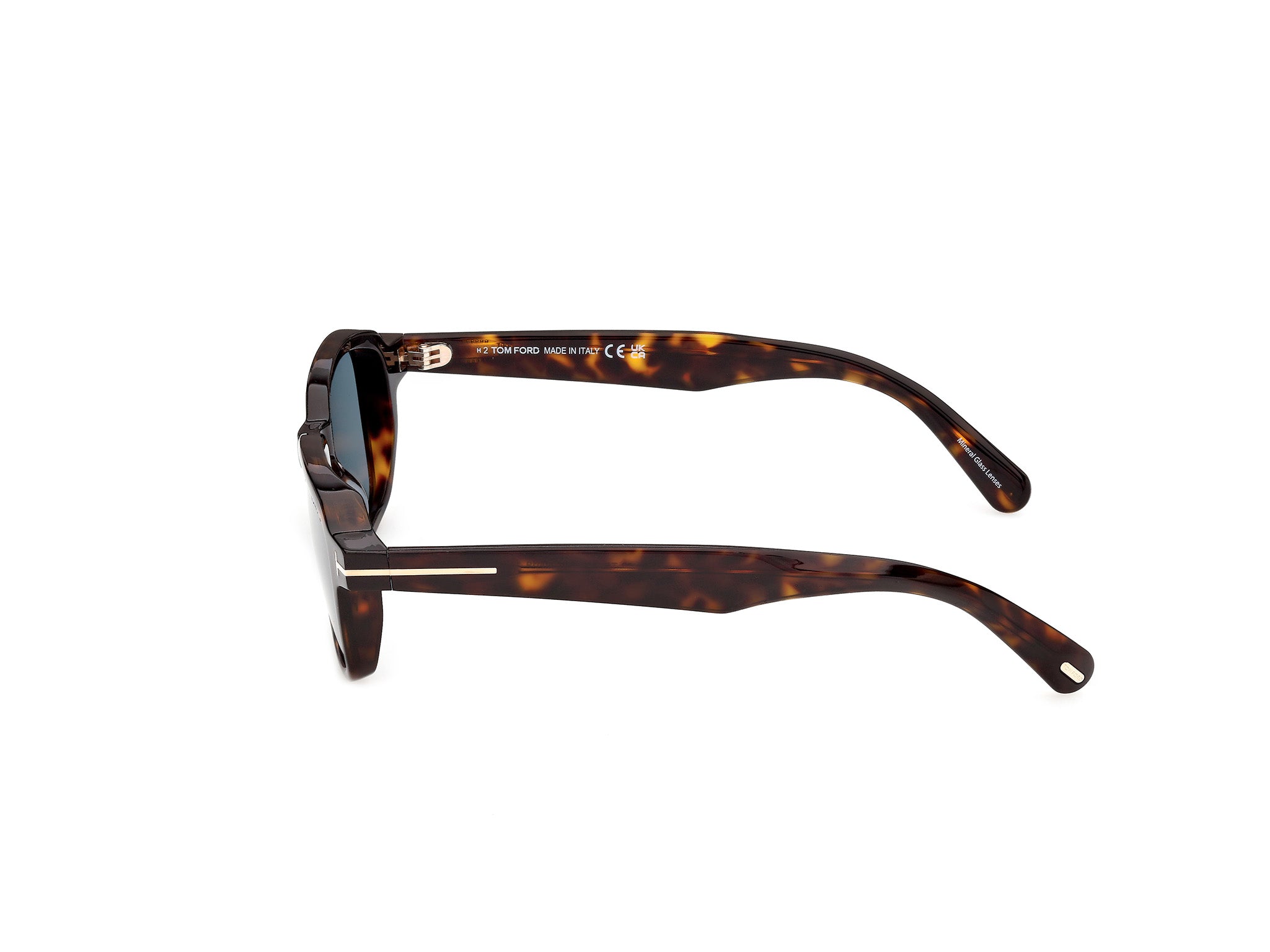 Tom Ford Beatrix-02 0613 Sunglasses