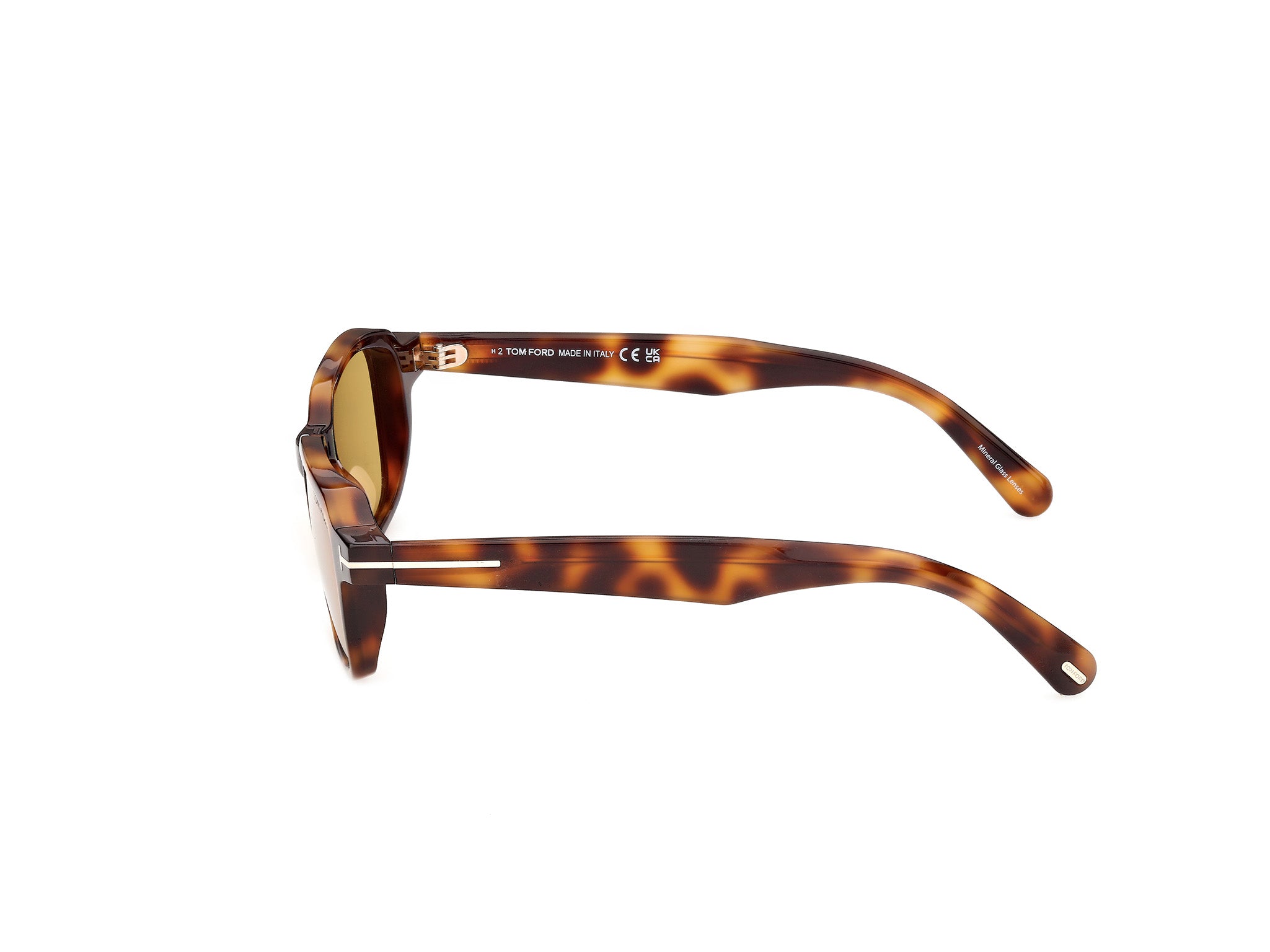 Tom Ford Beatrix-02 0613 Sunglasses