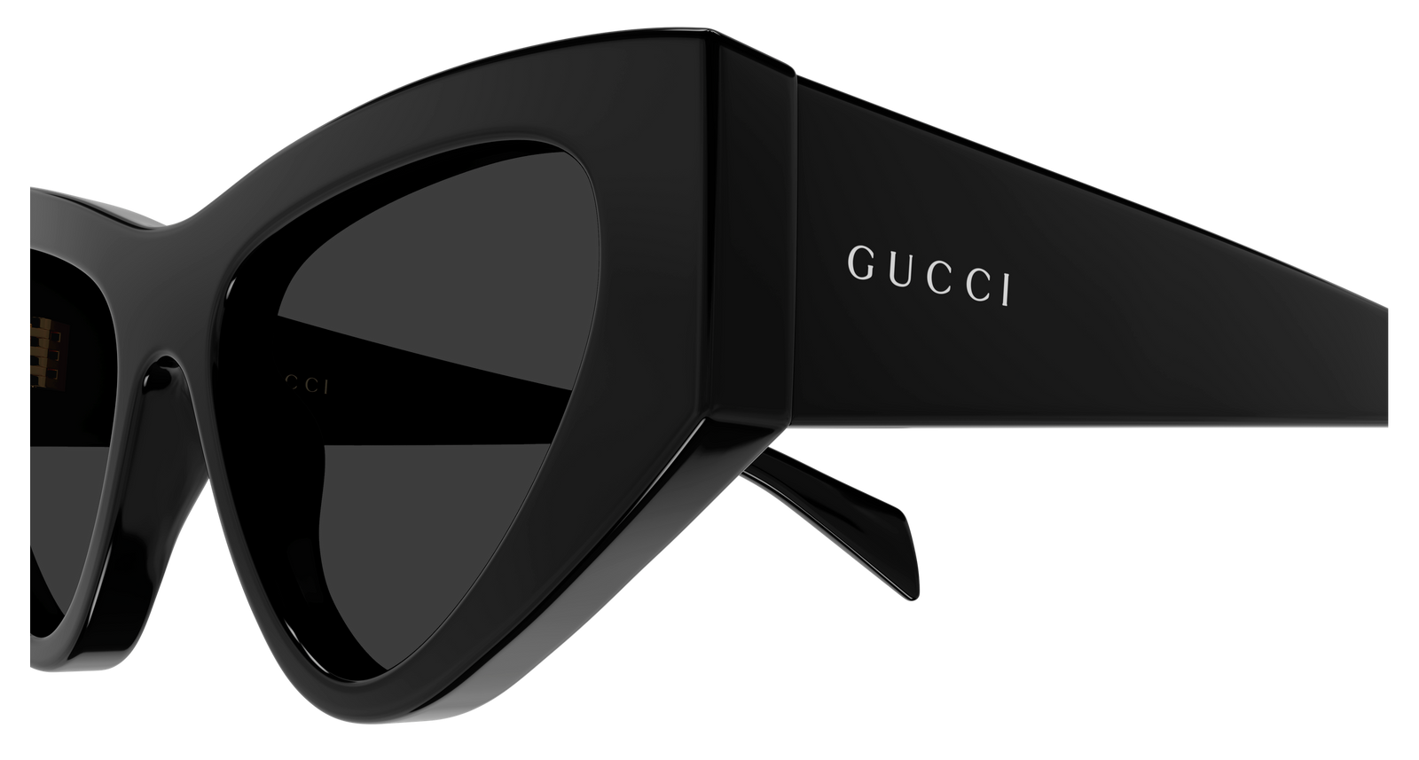 GUCCI GG 2019S Sunglasses