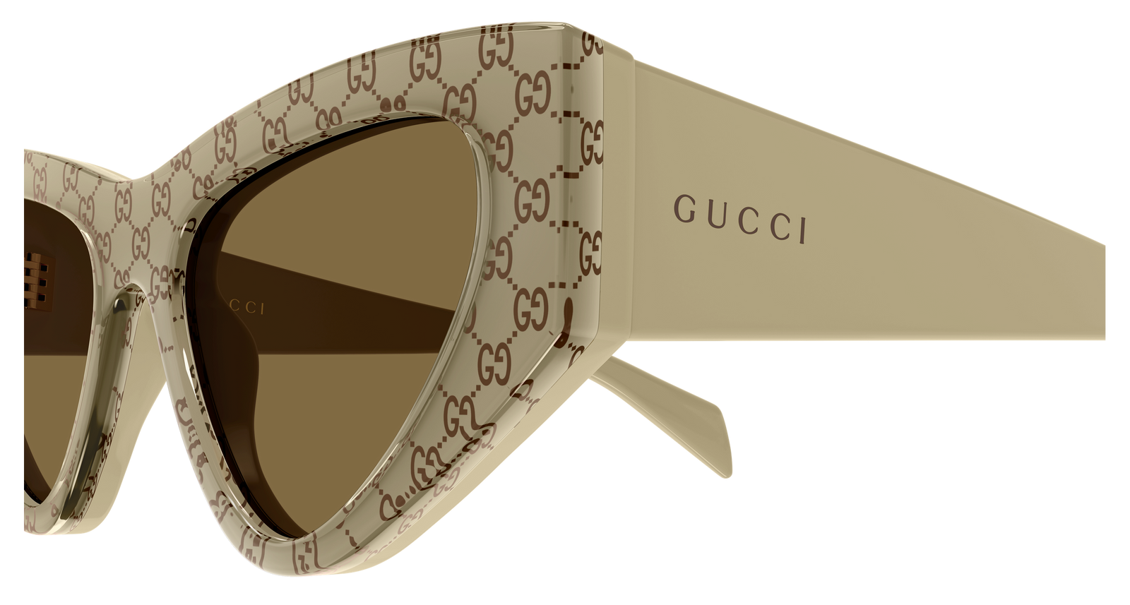 GUCCI GG 2019S Sunglasses