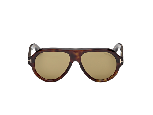 Lunettes de soleil Tom Ford Icon 1225