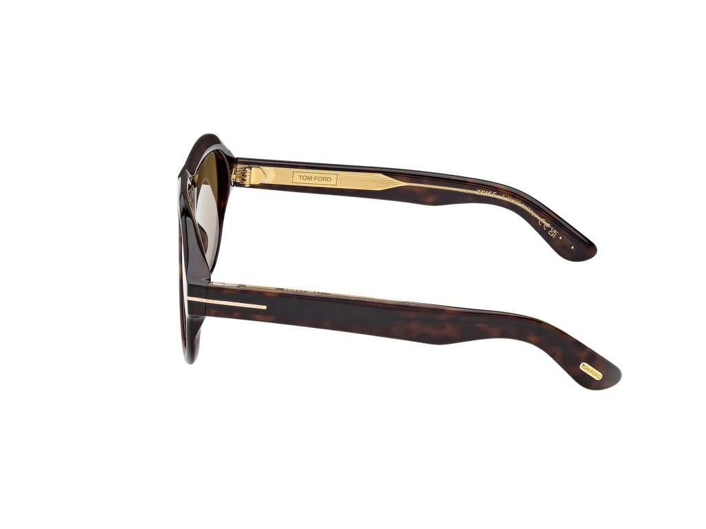 Lunettes de soleil Tom Ford Icon 1225