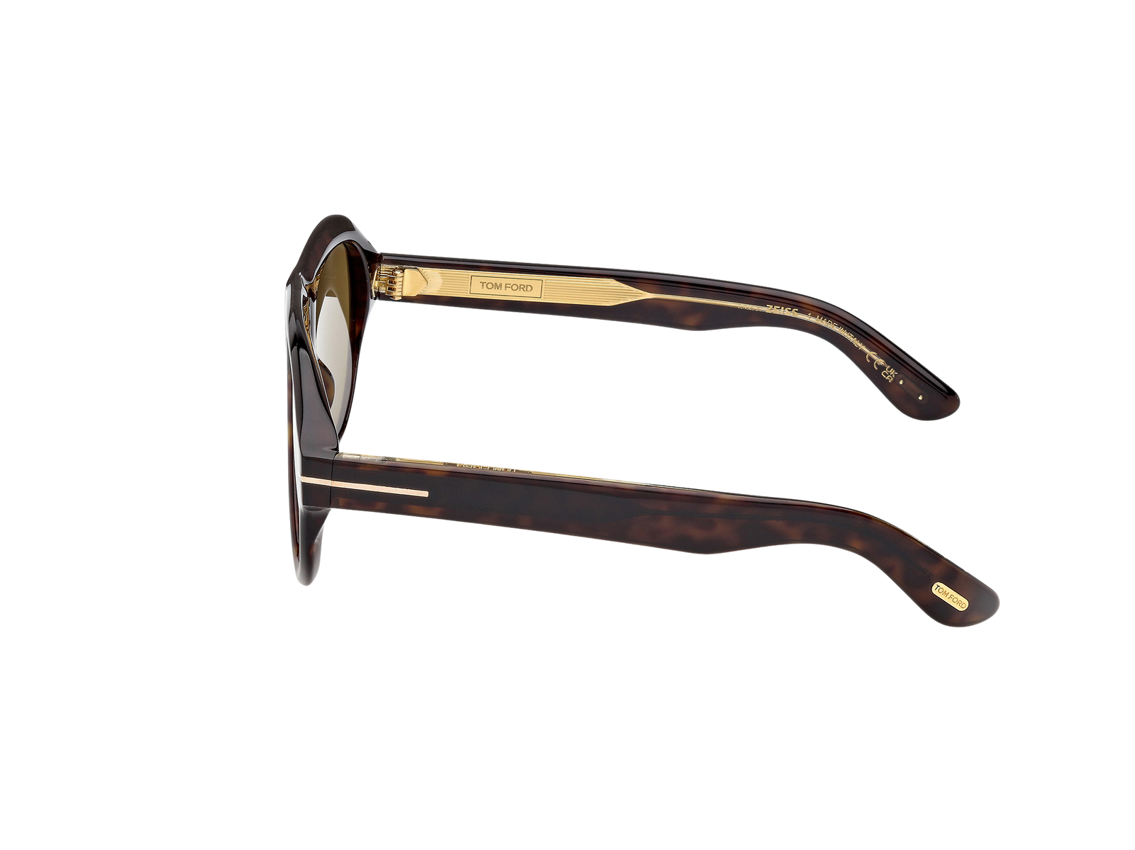 Tom Ford Icon 1225 Sunglasses