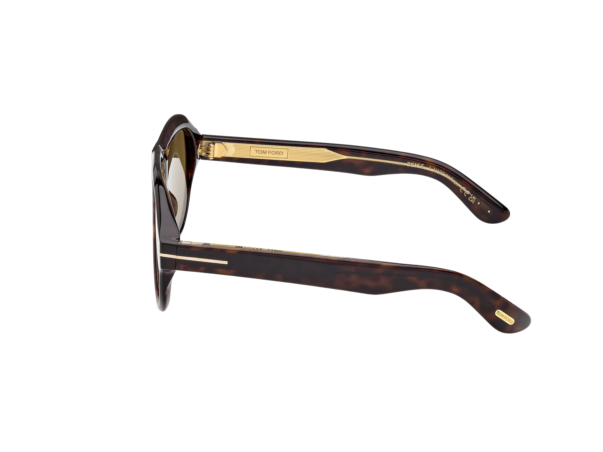 Lunettes de soleil Tom Ford Icon 1225