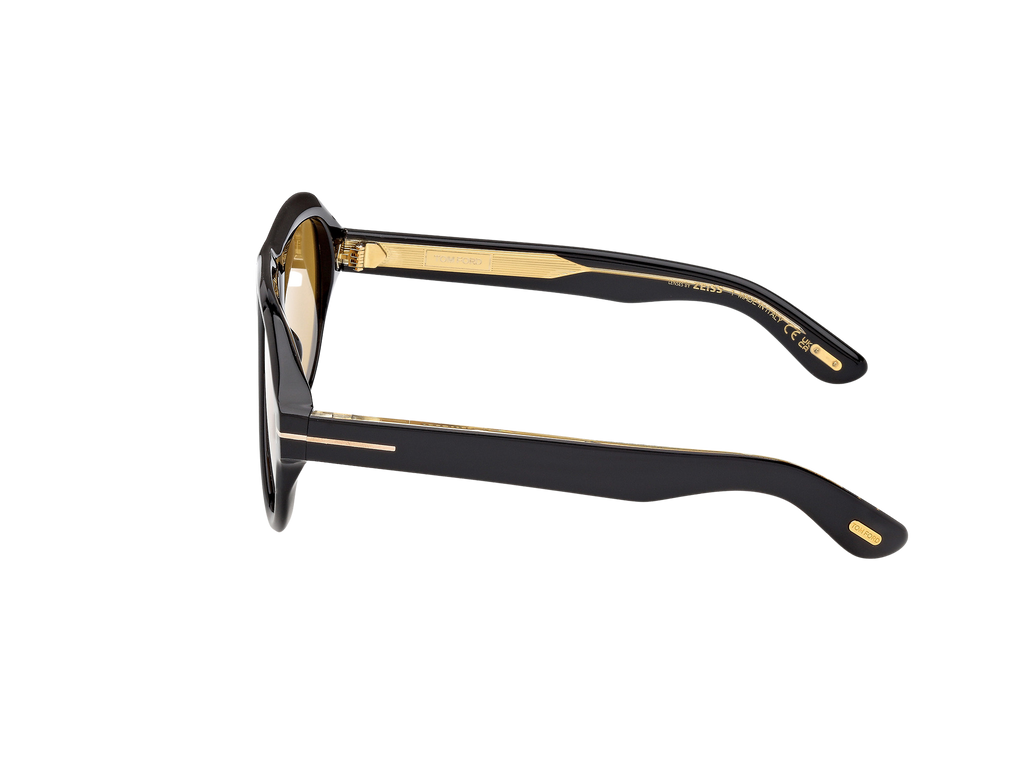 Lunettes de soleil Tom Ford Icon 1225