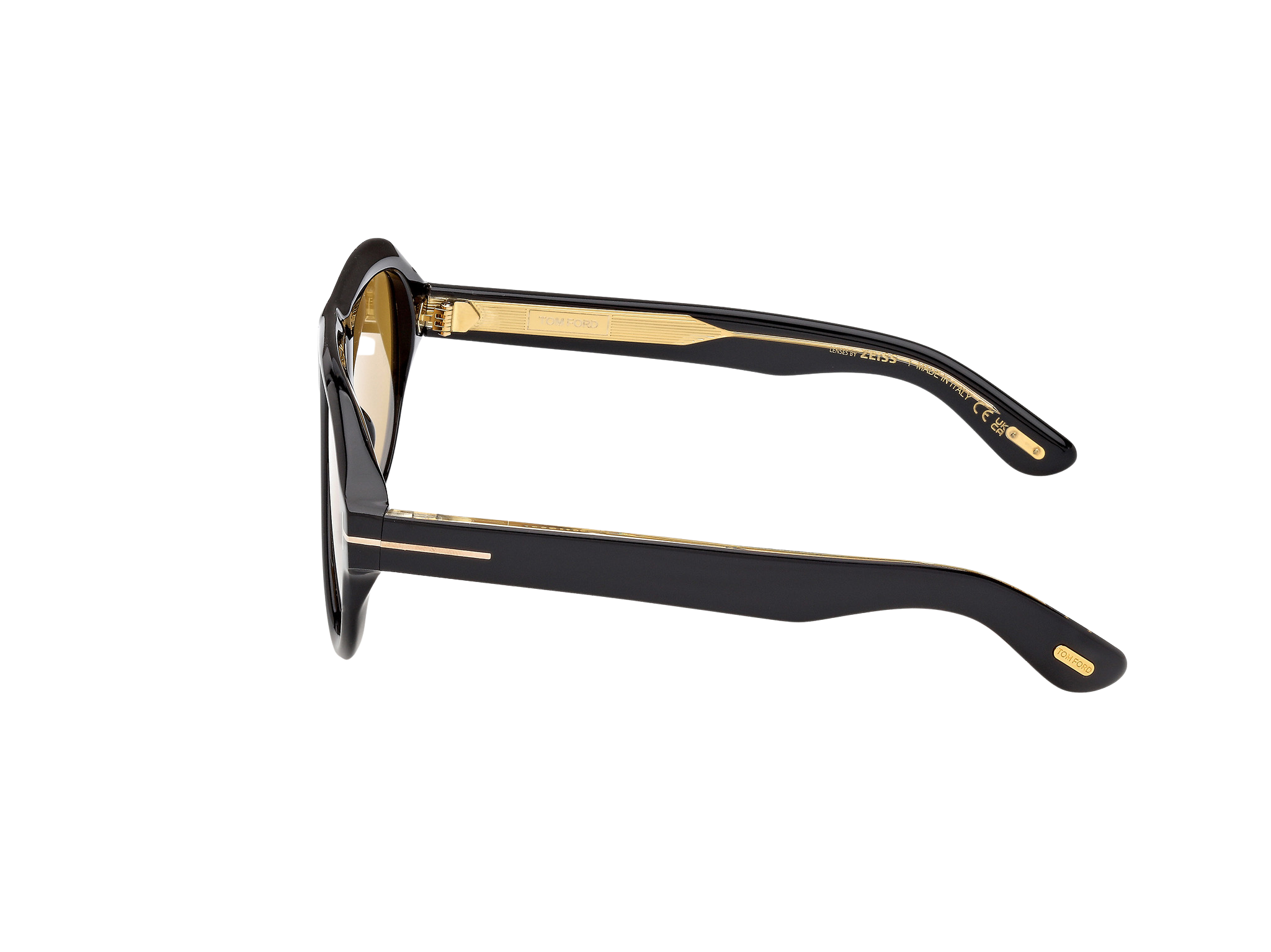 Lunettes de soleil Tom Ford Icon 1225