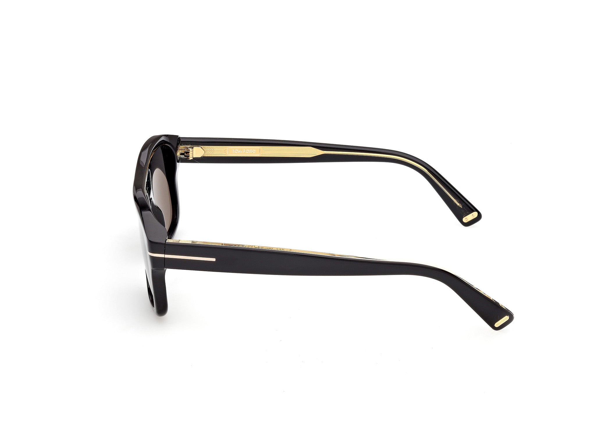 Lunettes de soleil Tom Ford Icon 0022